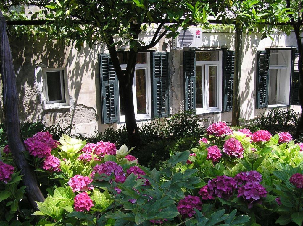 Studio Elly Dubrovnik Rom bilde
